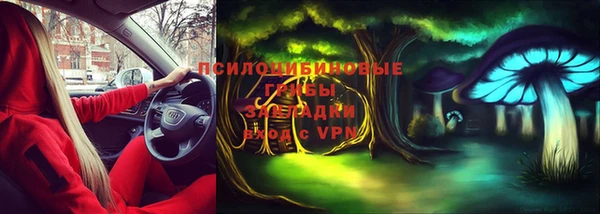 эйфоретик Арсеньев