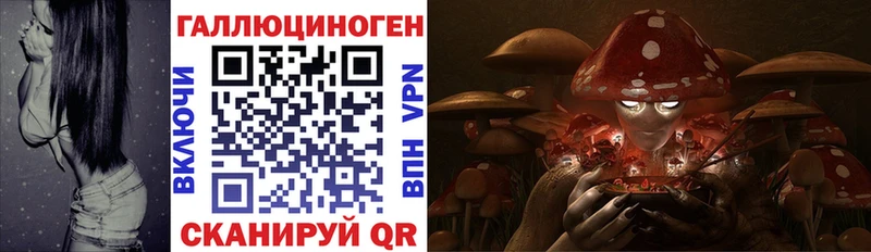 Псилоцибиновые грибы Cubensis  Рыльск 
